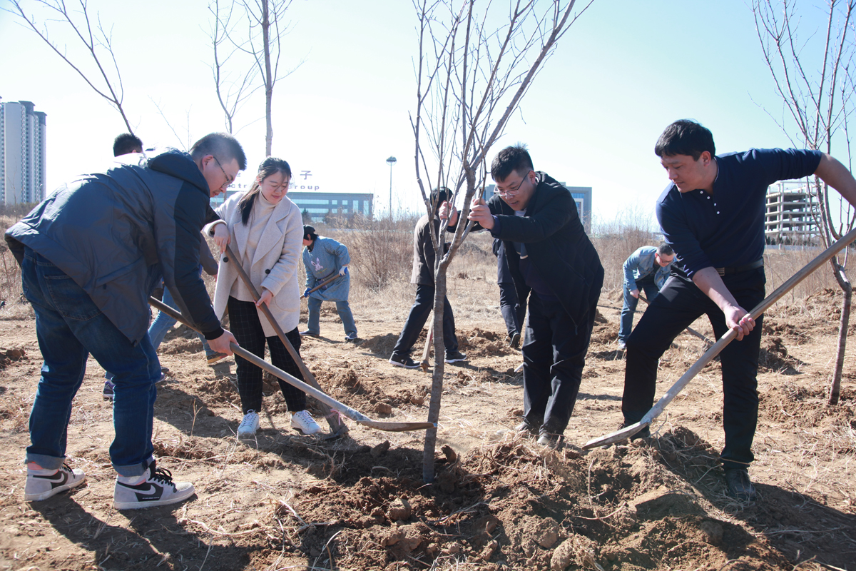 山财大东方学院早春添新绿 教职工植树种爱心